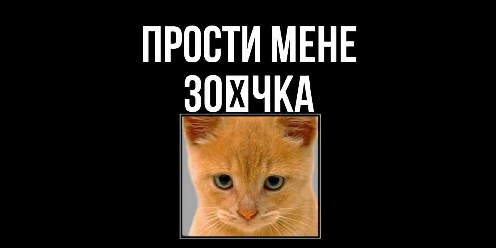 Открытка на каждый день з підписом, Зоєчка Прости мене рыжий грустный кот просит прощения Прикольна листівка з побажанням онлайн скачати безкоштовно 