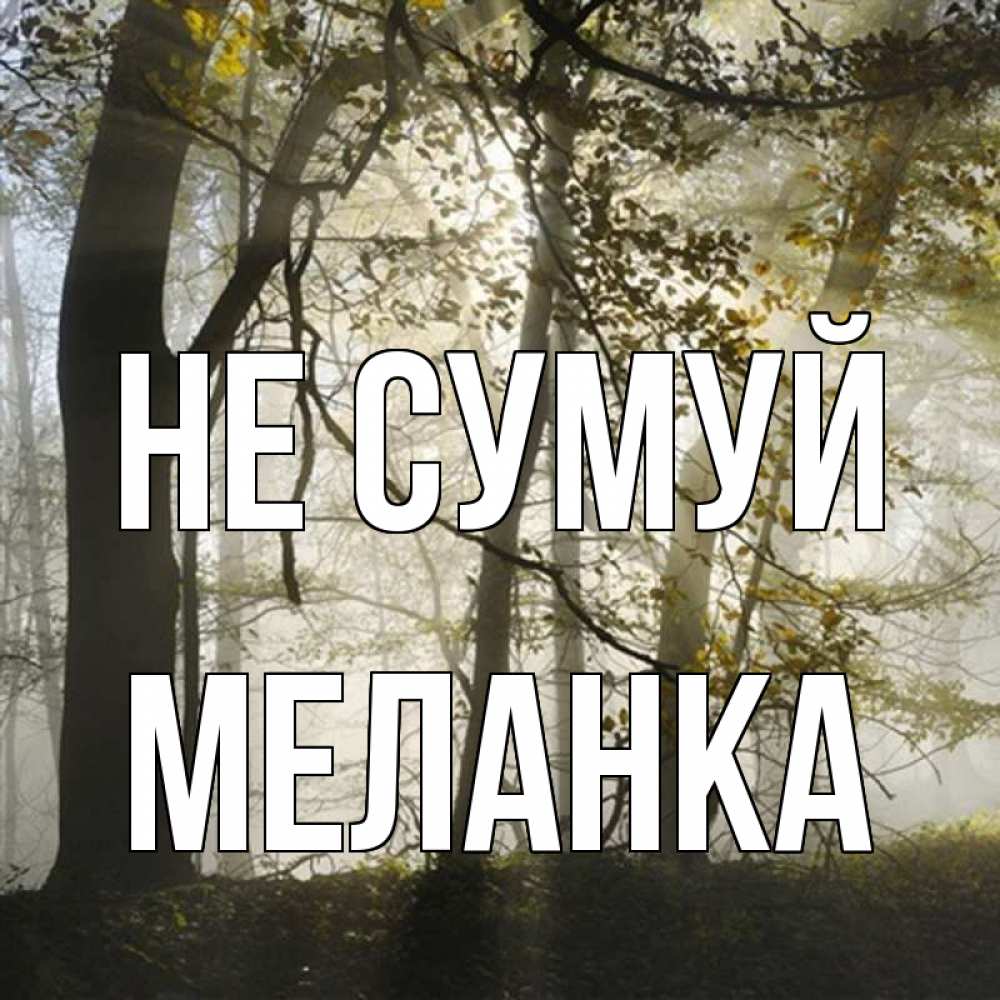 Открытка на каждый день з підписом, Меланка Не сумуй лес и свет Прикольна листівка з побажанням онлайн скачати безкоштовно 