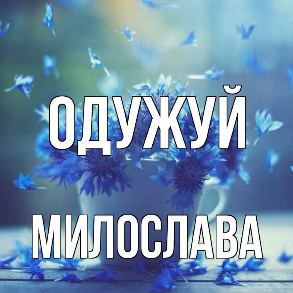 Открытка на каждый день з підписом, Милослава Одужуй кружка с зельем и цветами Прикольна листівка з побажанням онлайн скачати безкоштовно 