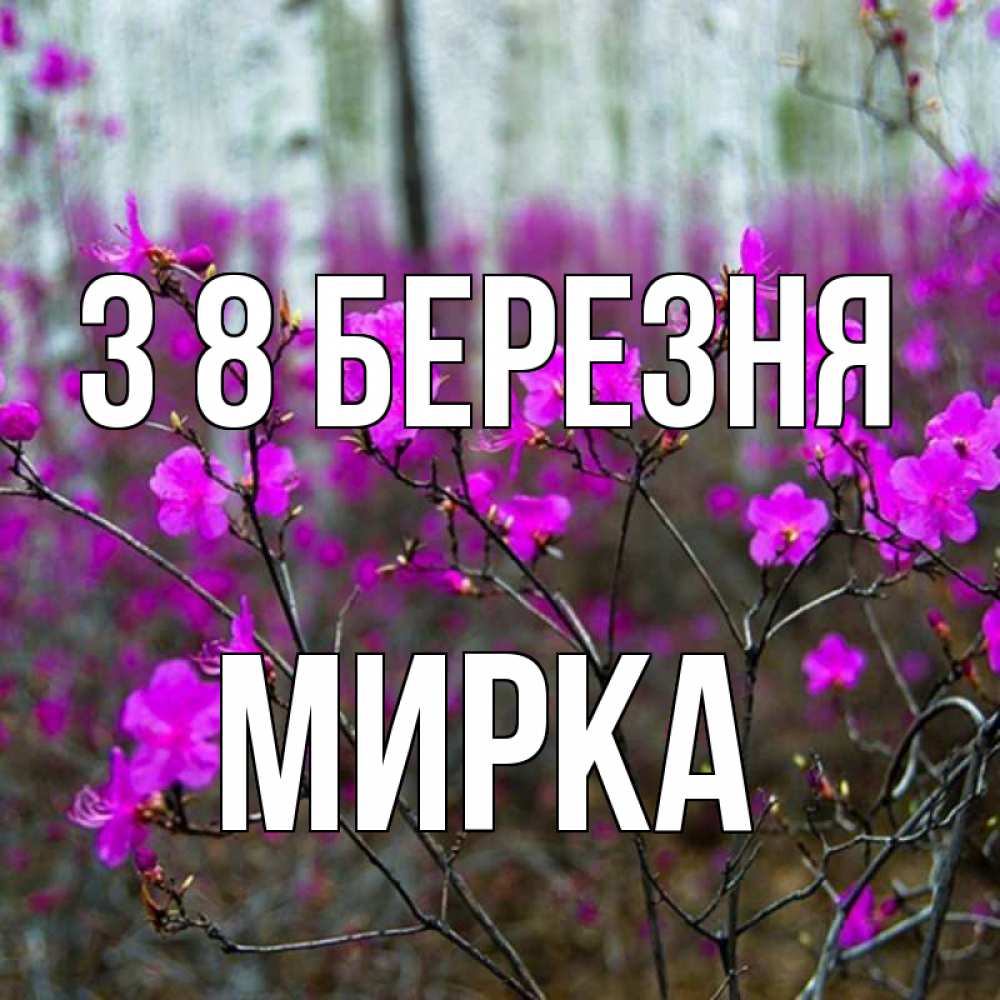 Открытка на каждый день з підписом, Мирка З 8 БЕРЕЗНЯ дикие цветы Прикольна листівка з побажанням онлайн скачати безкоштовно 