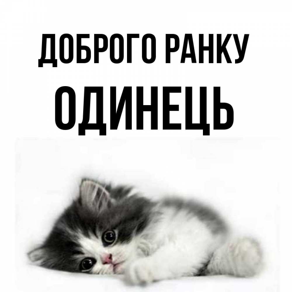 Открытка на каждый день з підписом, Одинець Доброго ранку кот лапки Прикольна листівка з побажанням онлайн скачати безкоштовно 