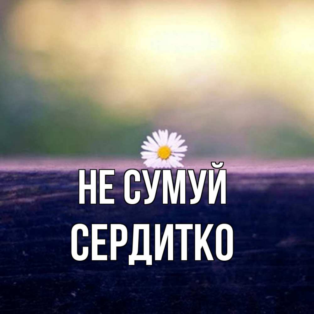 Открытка на каждый день з підписом, Сердитко Не сумуй красота Прикольна листівка з побажанням онлайн скачати безкоштовно 
