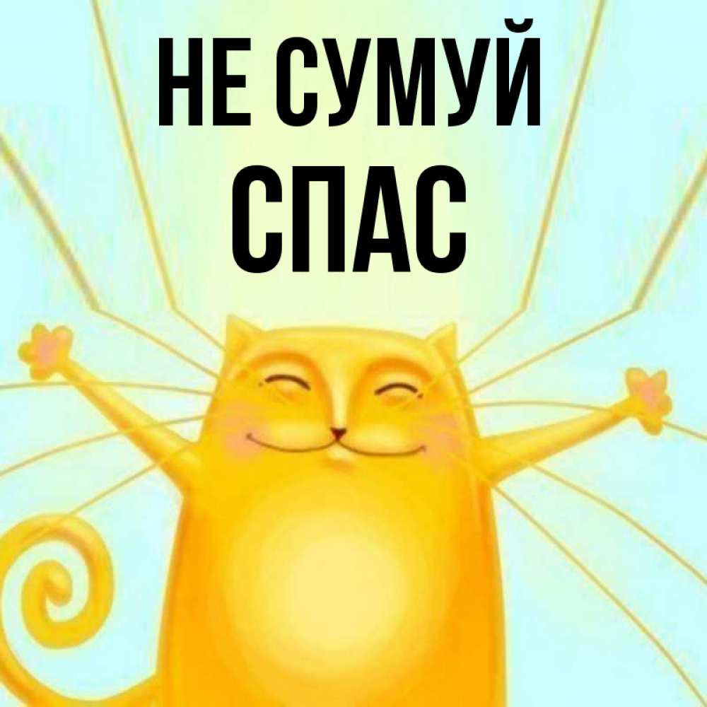 Открытка на каждый день з підписом, Спас Не сумуй обнимашки усатые Прикольна листівка з побажанням онлайн скачати безкоштовно 