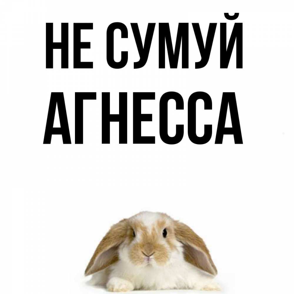 Открытка на каждый день з підписом, Агнесса Не сумуй коричнево белый заяц с большими ушками Прикольна листівка з побажанням онлайн скачати безкоштовно 