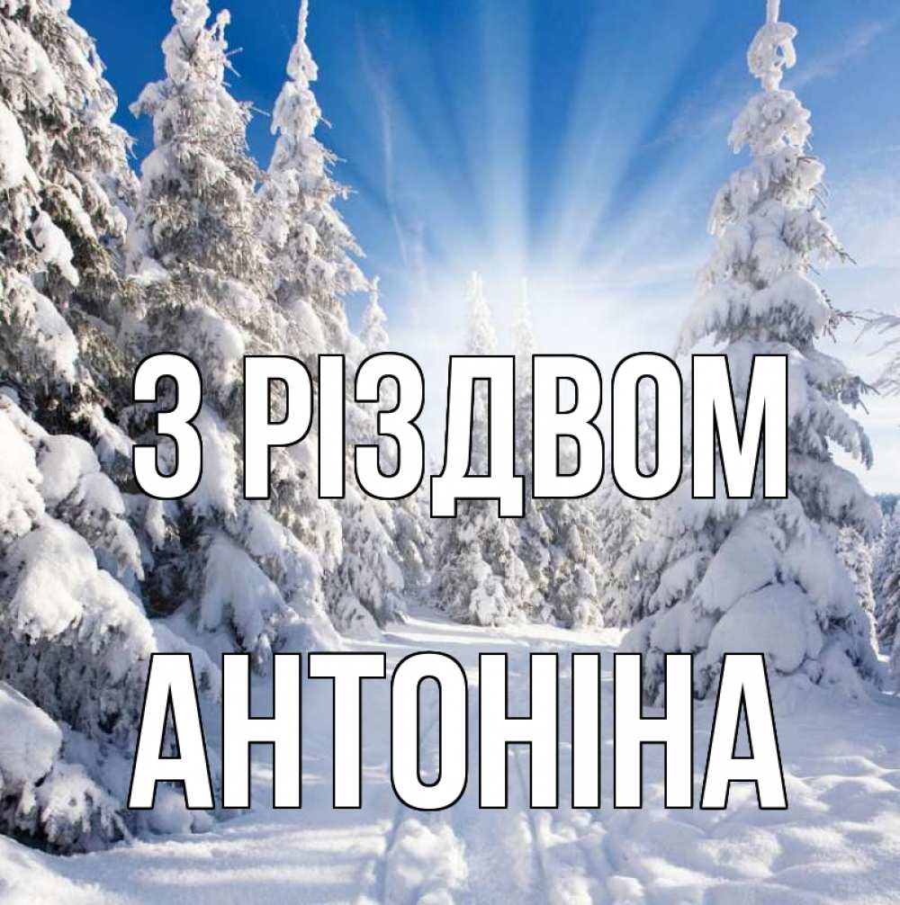 Открытка на каждый день з підписом, Антоніна З Різдвом зима, лес Прикольна листівка з побажанням онлайн скачати безкоштовно 