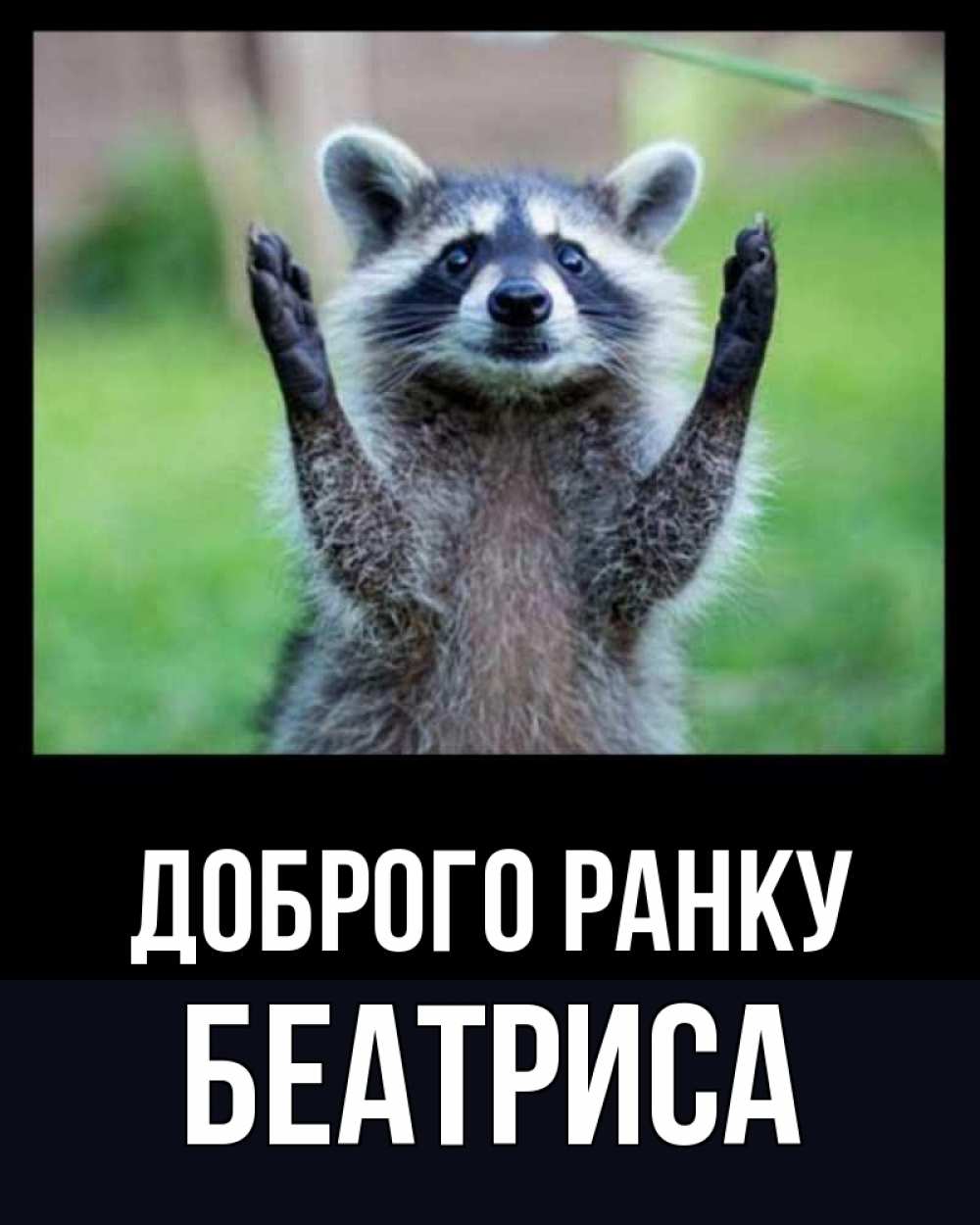 Открытка на каждый день з підписом, Беатриса Доброго ранку хорошее настроение утречком Прикольна листівка з побажанням онлайн скачати безкоштовно 