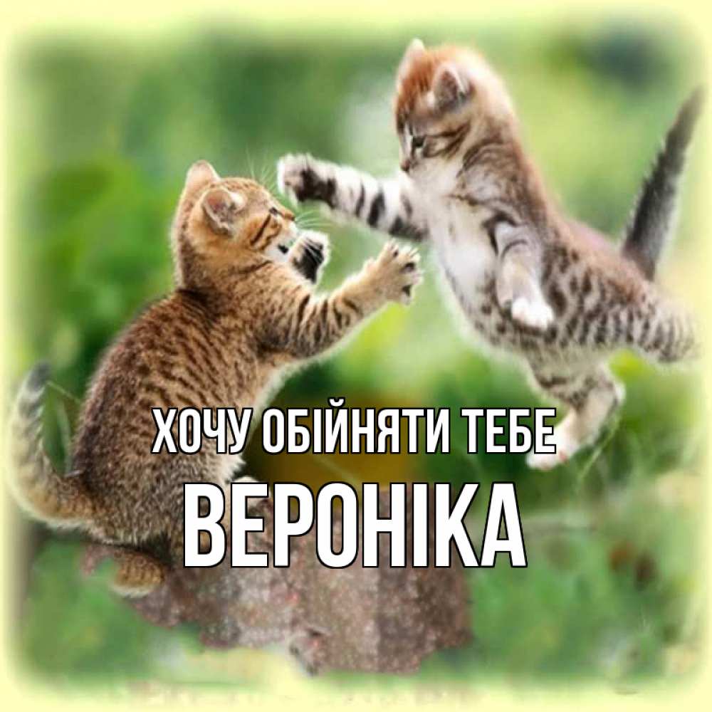 Открытка на каждый день з підписом, Вероніка Хочу обійняти тебе игры котят Прикольна листівка з побажанням онлайн скачати безкоштовно 