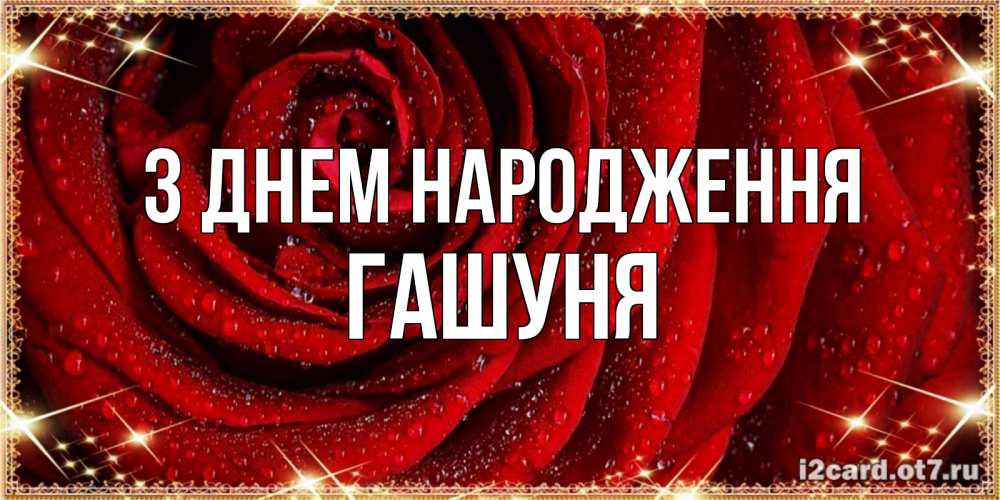 Открытка на каждый день з підписом, Гашуня З Днем народження роса на розе блестящая в лучах солнца Прикольна листівка з побажанням онлайн скачати безкоштовно 