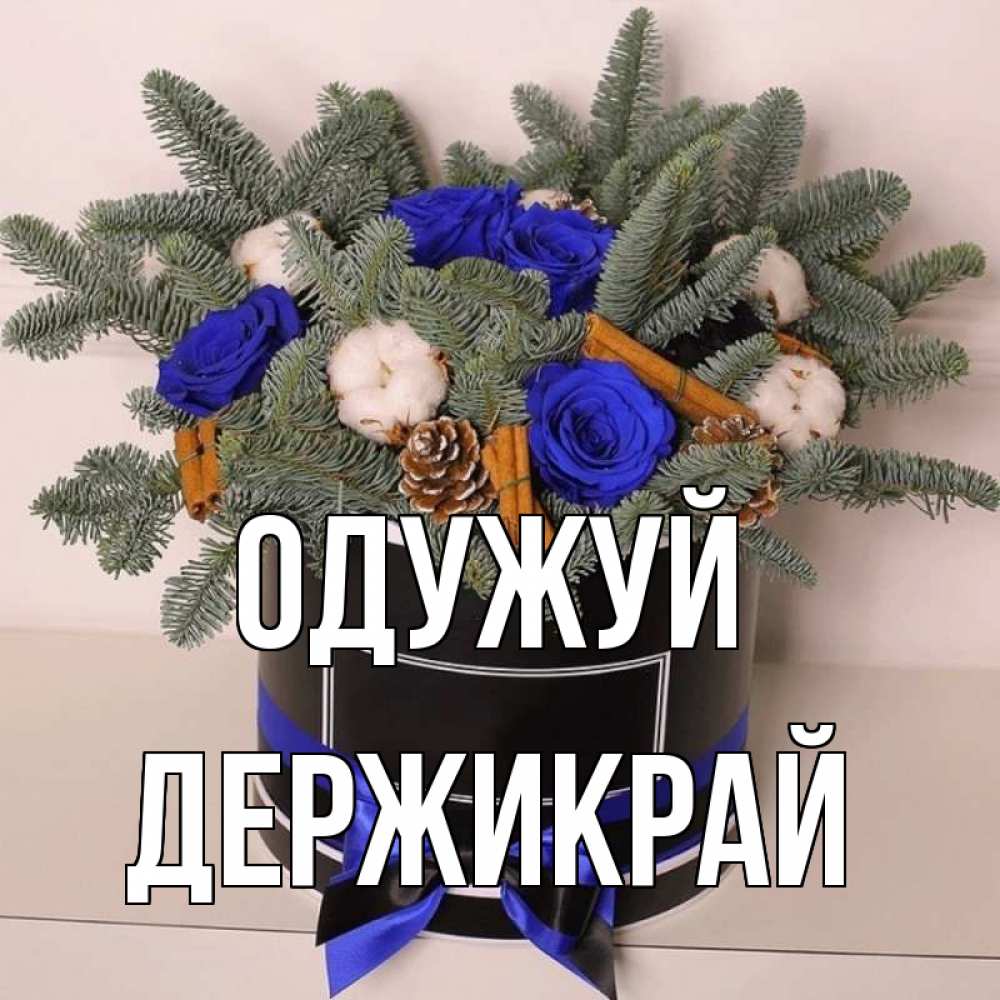 Открытка на каждый день з підписом, Держикрай Одужуй короче кто то загрузил эти шишки Прикольна листівка з побажанням онлайн скачати безкоштовно 