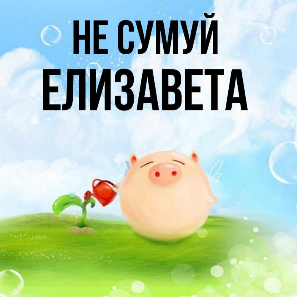 Открытка на каждый день з підписом, Елизавета Не сумуй поливает цветок порося Прикольна листівка з побажанням онлайн скачати безкоштовно 