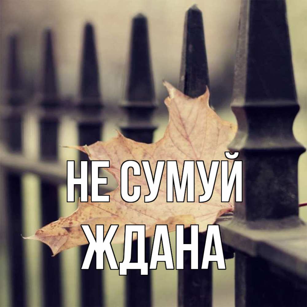 Открытка на каждый день з підписом, Ждана Не сумуй лист клена Прикольна листівка з побажанням онлайн скачати безкоштовно 