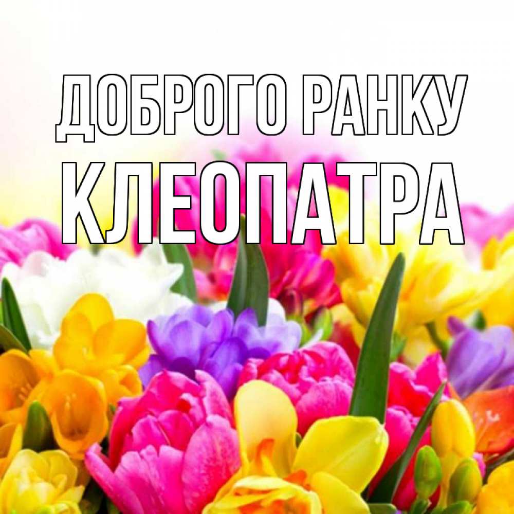 Открытка на каждый день з підписом, Клеопатра Доброго ранку создать открытку со свое подписью Прикольна листівка з побажанням онлайн скачати безкоштовно 