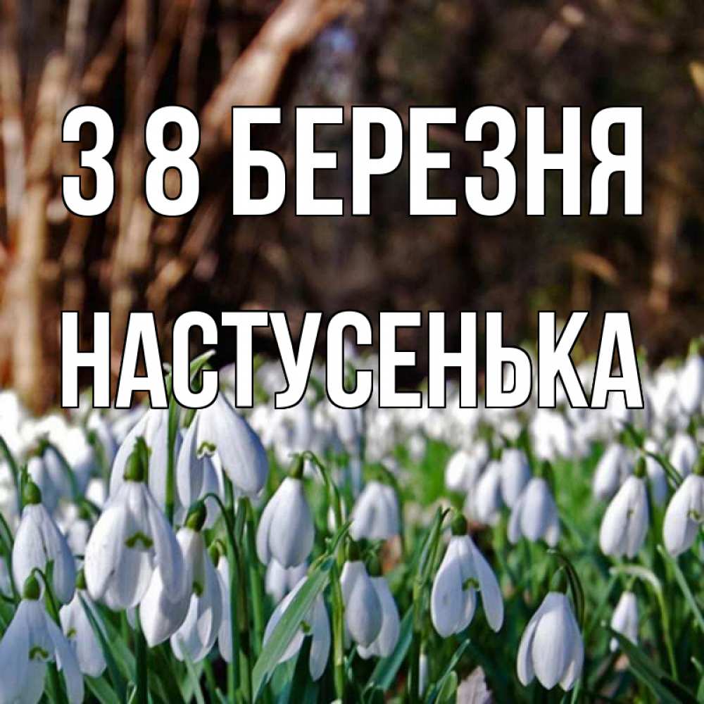 Открытка на каждый день з підписом, Настусенька З 8 БЕРЕЗНЯ с подснежниками 1 Прикольна листівка з побажанням онлайн скачати безкоштовно 