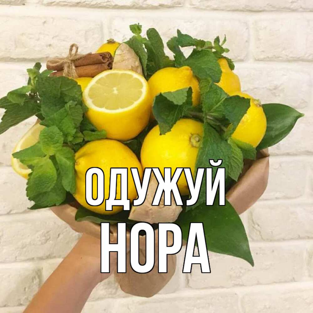 Открытка на каждый день з підписом, Нора Одужуй витамины Прикольна листівка з побажанням онлайн скачати безкоштовно 
