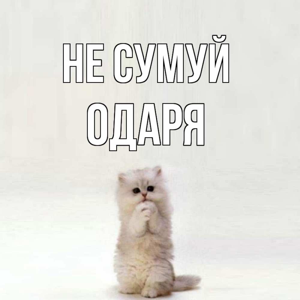 Открытка на каждый день з підписом, Одаря Не сумуй грустный кот Прикольна листівка з побажанням онлайн скачати безкоштовно 