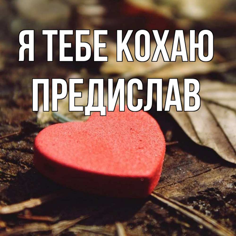 Открытка на каждый день з підписом, Предислав Я тебе кохаю листья деревье 4 Прикольна листівка з побажанням онлайн скачати безкоштовно 