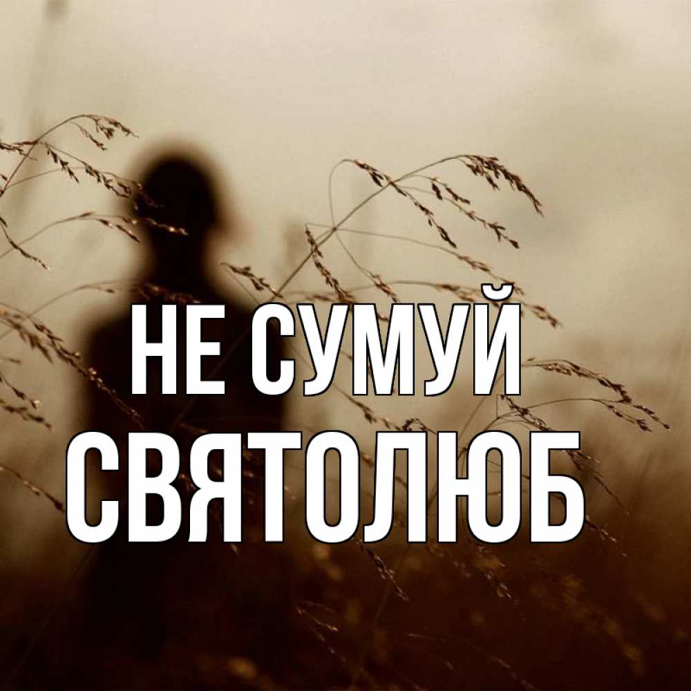 Открытка на каждый день з підписом, Святолюб Не сумуй грусть Прикольна листівка з побажанням онлайн скачати безкоштовно 