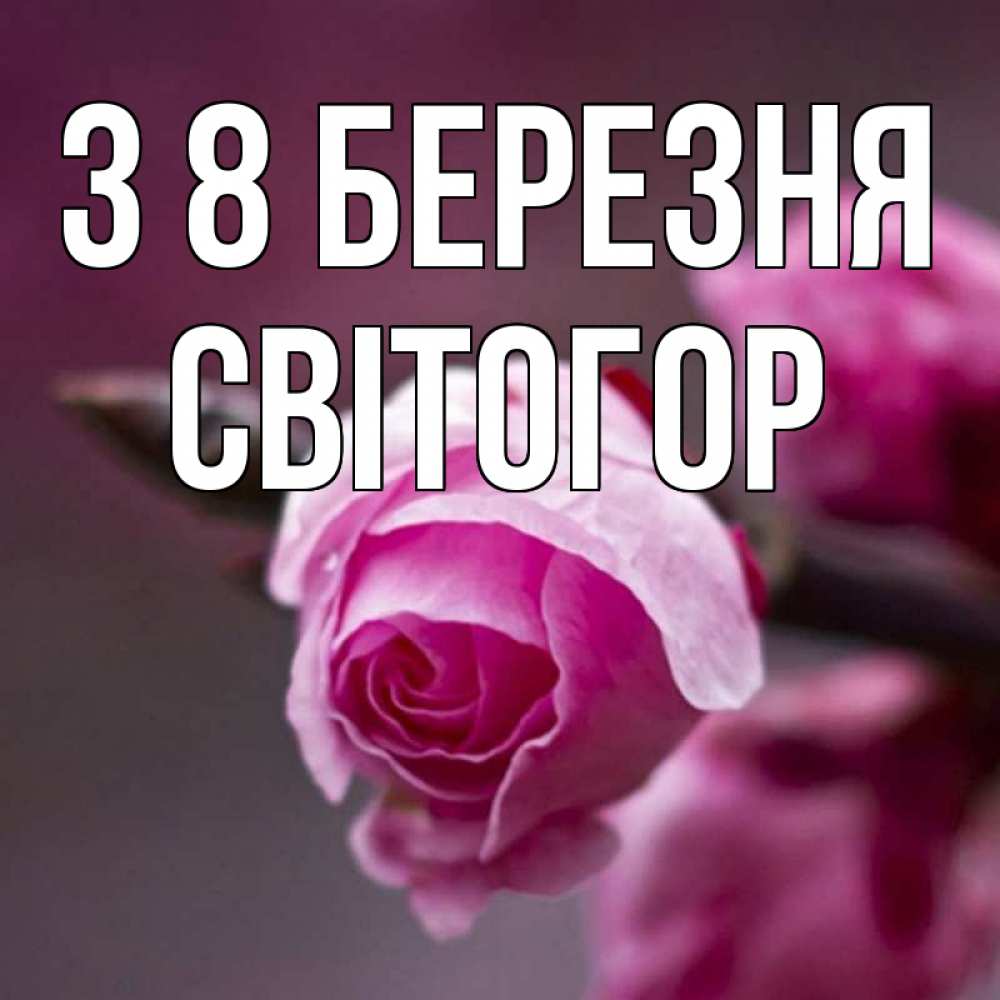 Открытка на каждый день з підписом, Світогор З 8 БЕРЕЗНЯ весна Прикольна листівка з побажанням онлайн скачати безкоштовно 