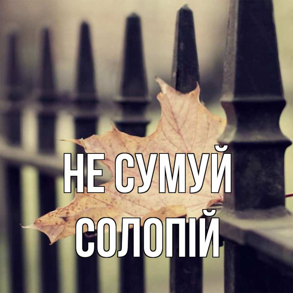 Открытка на каждый день з підписом, Солопій Не сумуй лист клена Прикольна листівка з побажанням онлайн скачати безкоштовно 