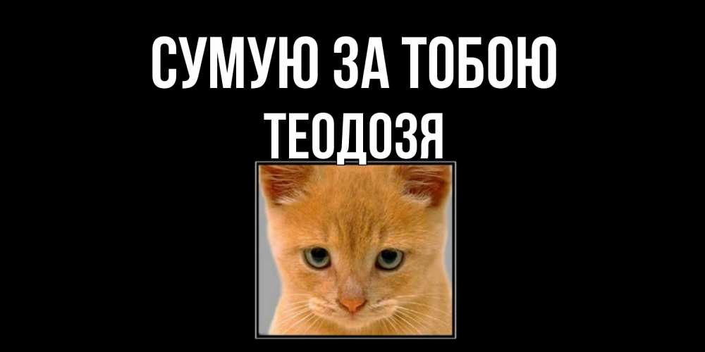 Открытка на каждый день з підписом, Теодозя Сумую за тобою открытки рыжий котенок скучает по тебе Прикольна листівка з побажанням онлайн скачати безкоштовно 