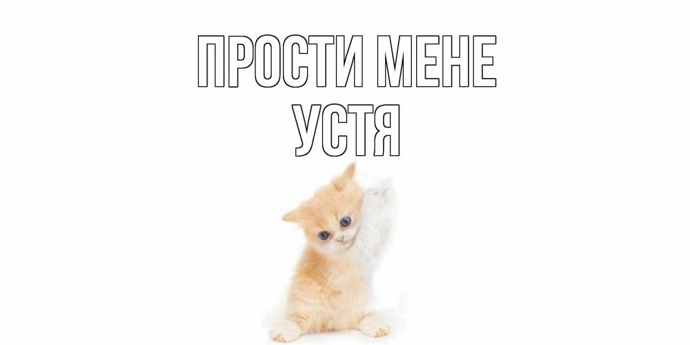 Открытка на каждый день з підписом, Устя Прости мене кот Прикольна листівка з побажанням онлайн скачати безкоштовно 
