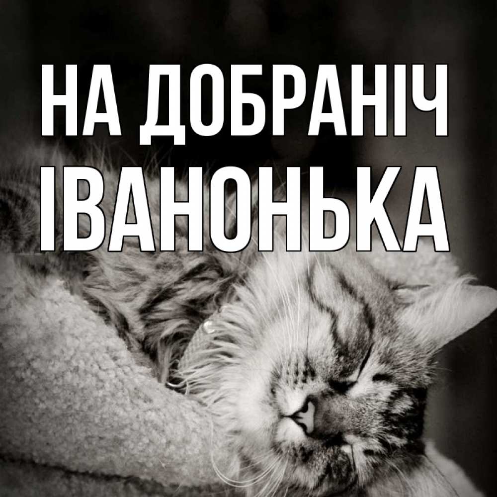 Открытка на каждый день з підписом, Іванонька На добраніч котярик пушистый Прикольна листівка з побажанням онлайн скачати безкоштовно 