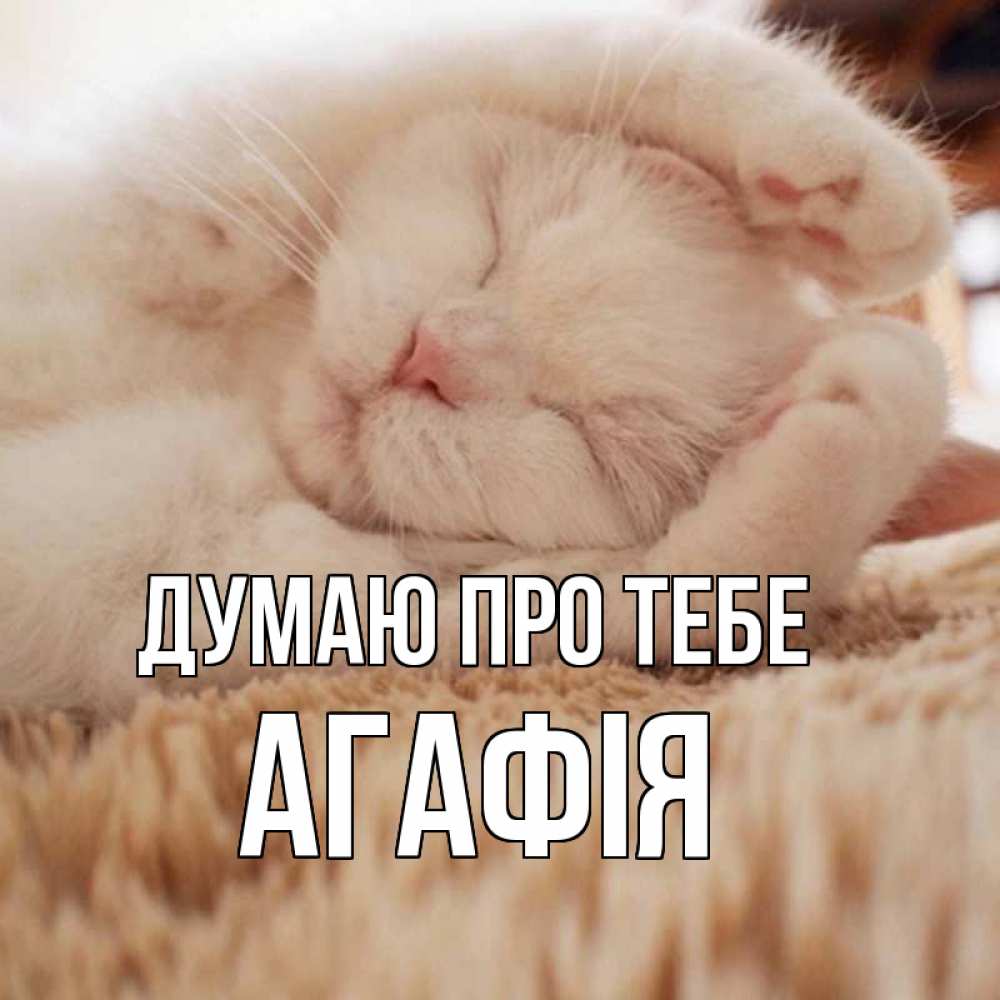 Открытка на каждый день з підписом, Агафія Думаю про тебе для любимой девушки милота Прикольна листівка з побажанням онлайн скачати безкоштовно 