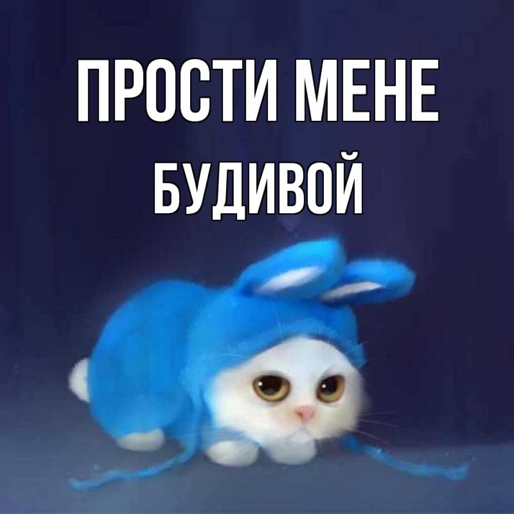 Открытка на каждый день з підписом, Будивой Прости мене невинный котозай просит прощения Прикольна листівка з побажанням онлайн скачати безкоштовно 