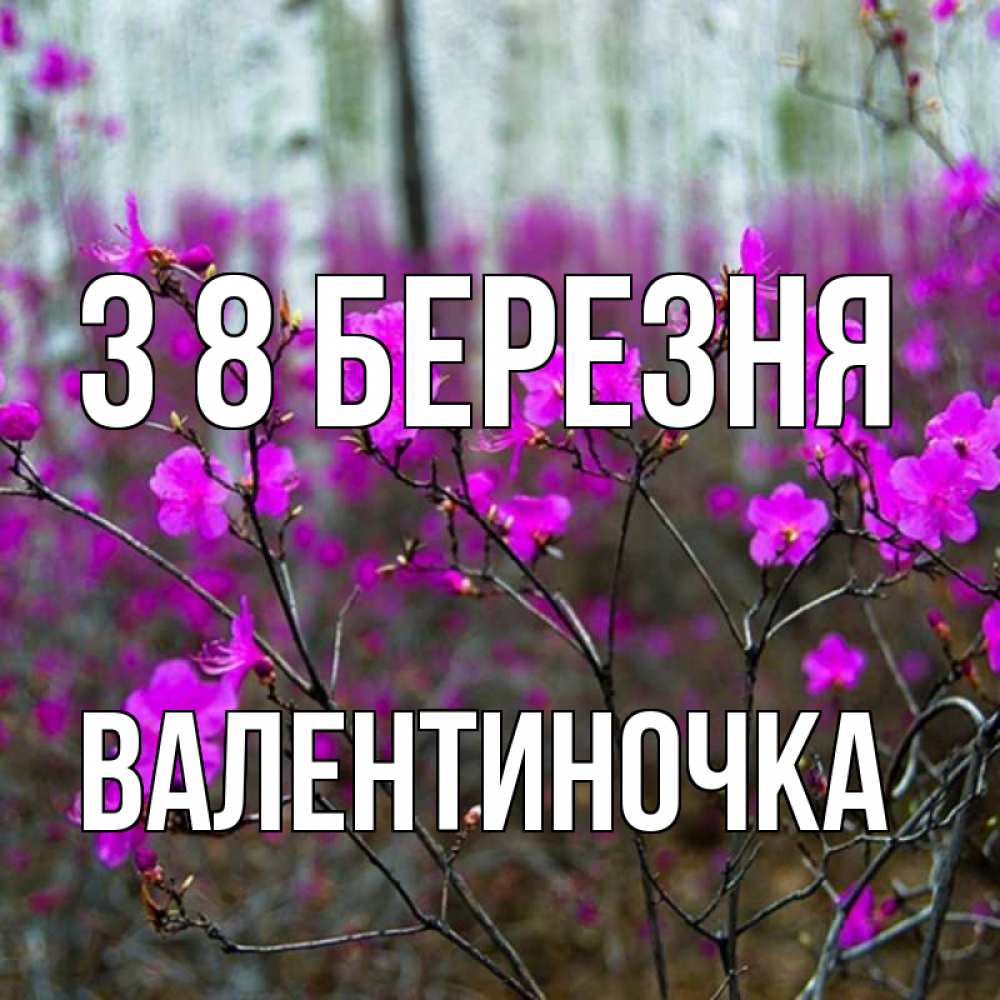 Открытка на каждый день з підписом, Валентиночка З 8 БЕРЕЗНЯ дикие цветы Прикольна листівка з побажанням онлайн скачати безкоштовно 