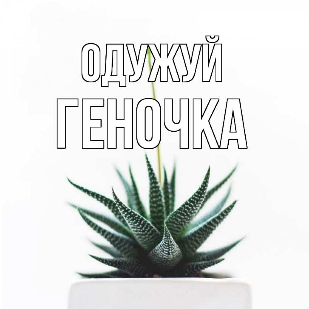 Открытка на каждый день з підписом, Геночка Одужуй короче это непонятная колючка Прикольна листівка з побажанням онлайн скачати безкоштовно 