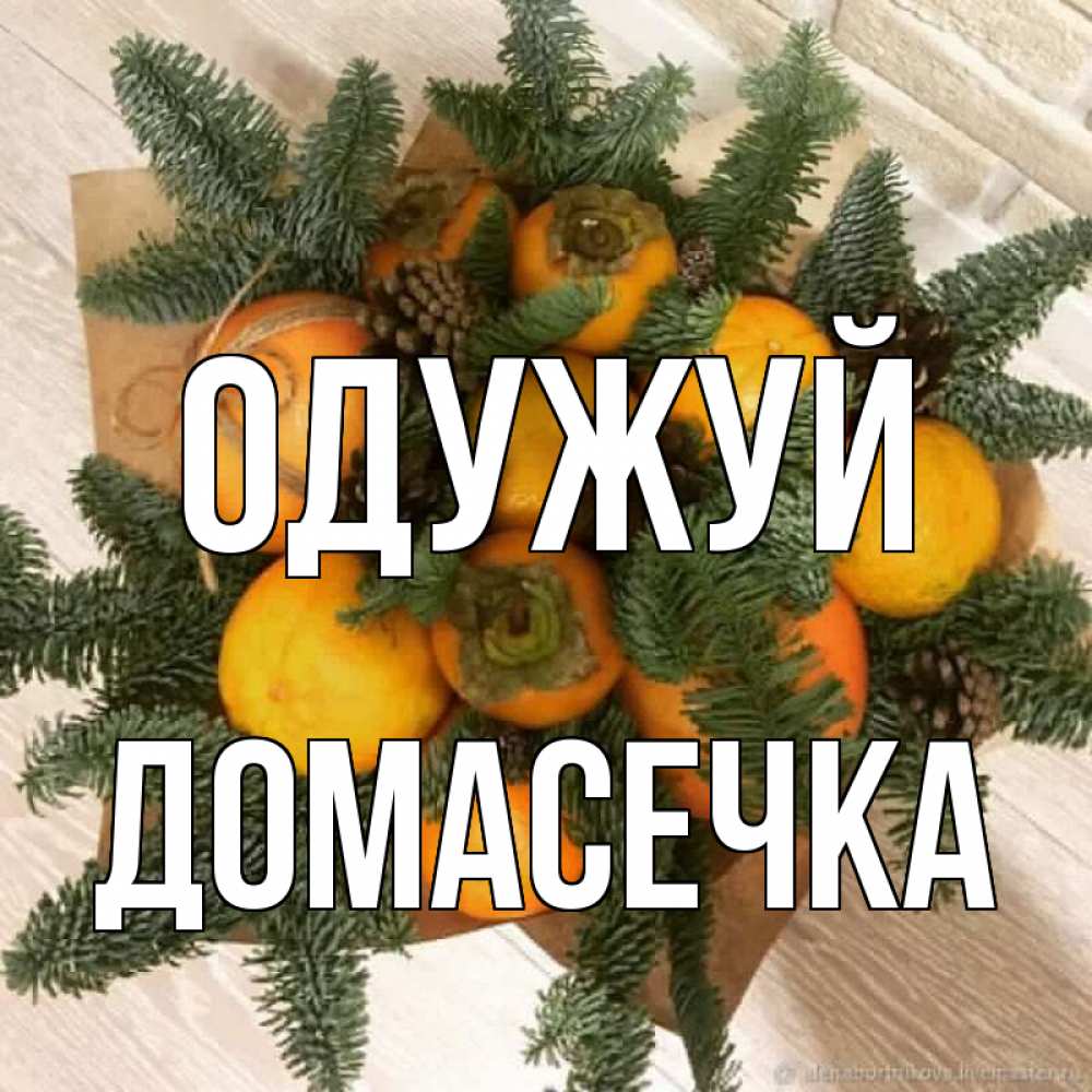 Открытка на каждый день з підписом, Домасечка Одужуй апельсины и хурьма Прикольна листівка з побажанням онлайн скачати безкоштовно 