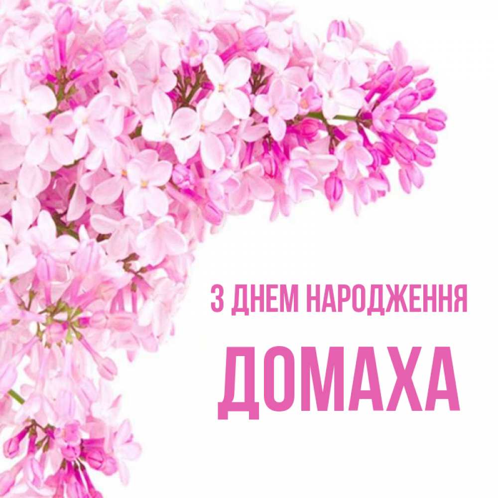 Открытка на каждый день з підписом, Домаха З Днем народження Сирень на белом фоне Прикольна листівка з побажанням онлайн скачати безкоштовно 