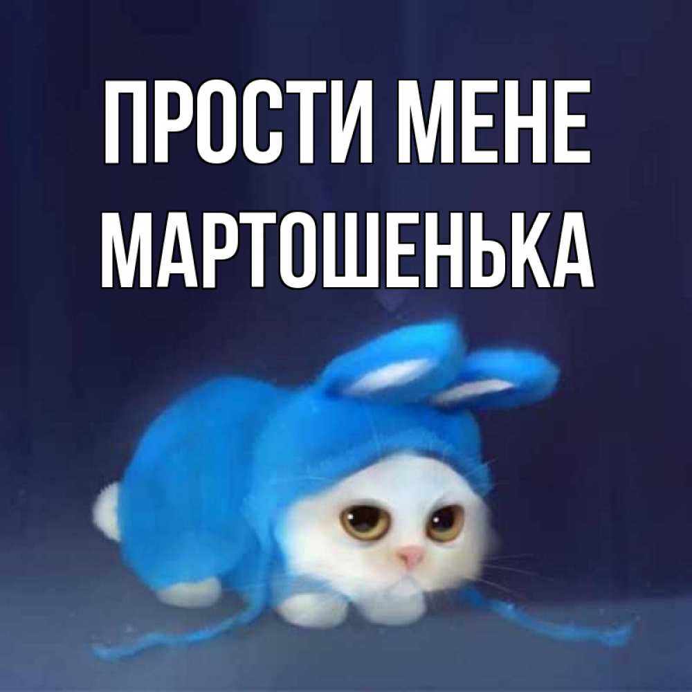 Открытка на каждый день з підписом, Мартошенька Прости мене невинный котозай просит прощения Прикольна листівка з побажанням онлайн скачати безкоштовно 