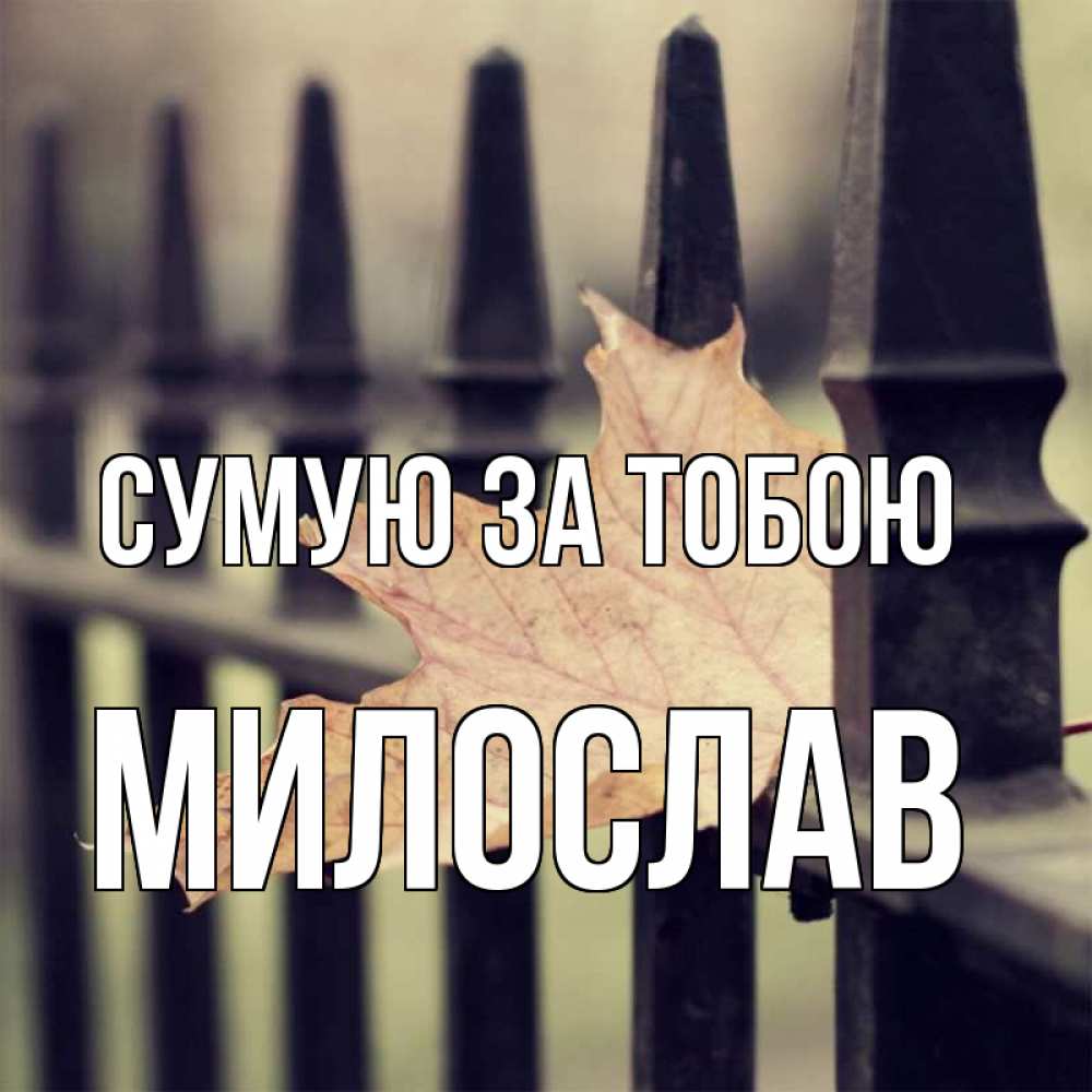 Открытка на каждый день з підписом, Милослав Сумую за тобою очень скучно Прикольна листівка з побажанням онлайн скачати безкоштовно 