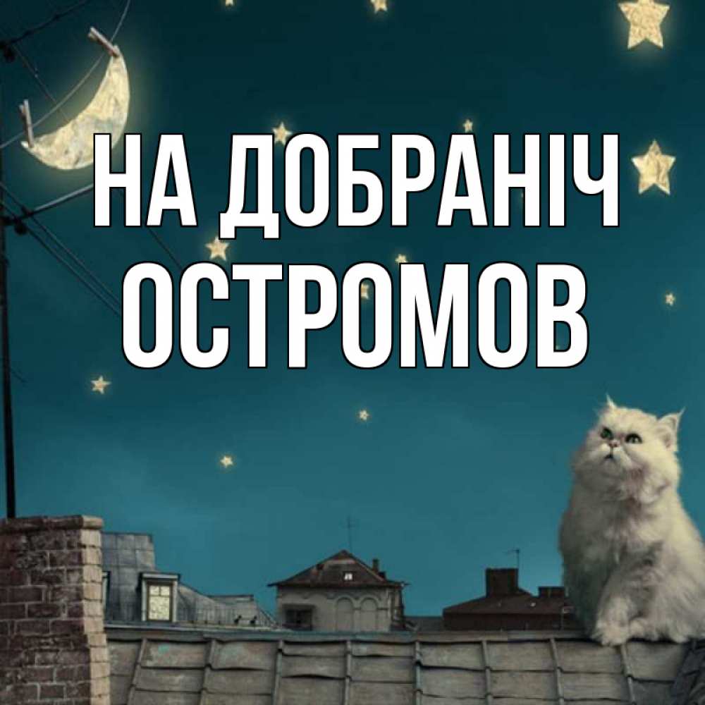 Открытка на каждый день з підписом, Остромов На добраніч белый кот сидит на крыше Прикольна листівка з побажанням онлайн скачати безкоштовно 