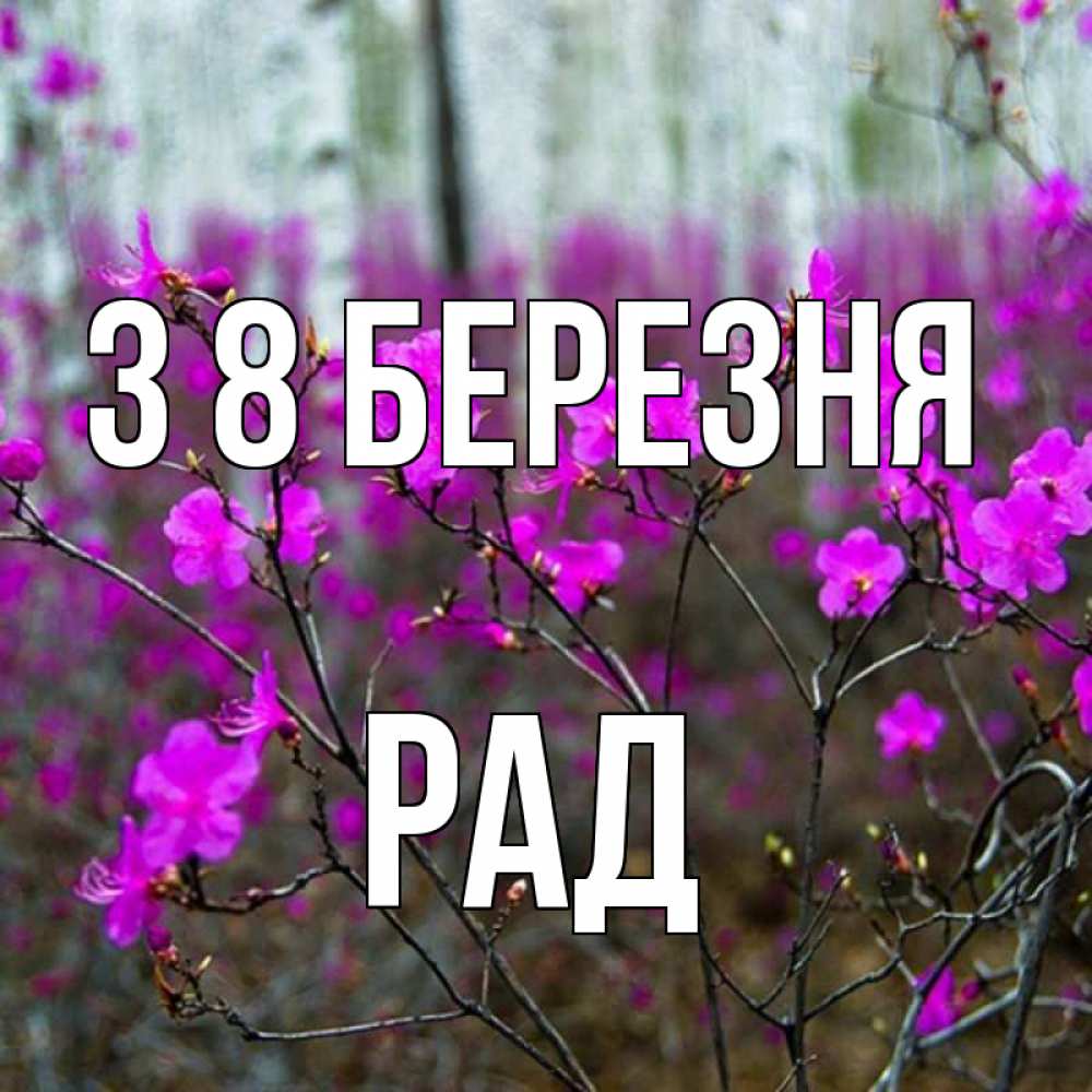 Открытка на каждый день з підписом, Рад З 8 БЕРЕЗНЯ дикие цветы Прикольна листівка з побажанням онлайн скачати безкоштовно 