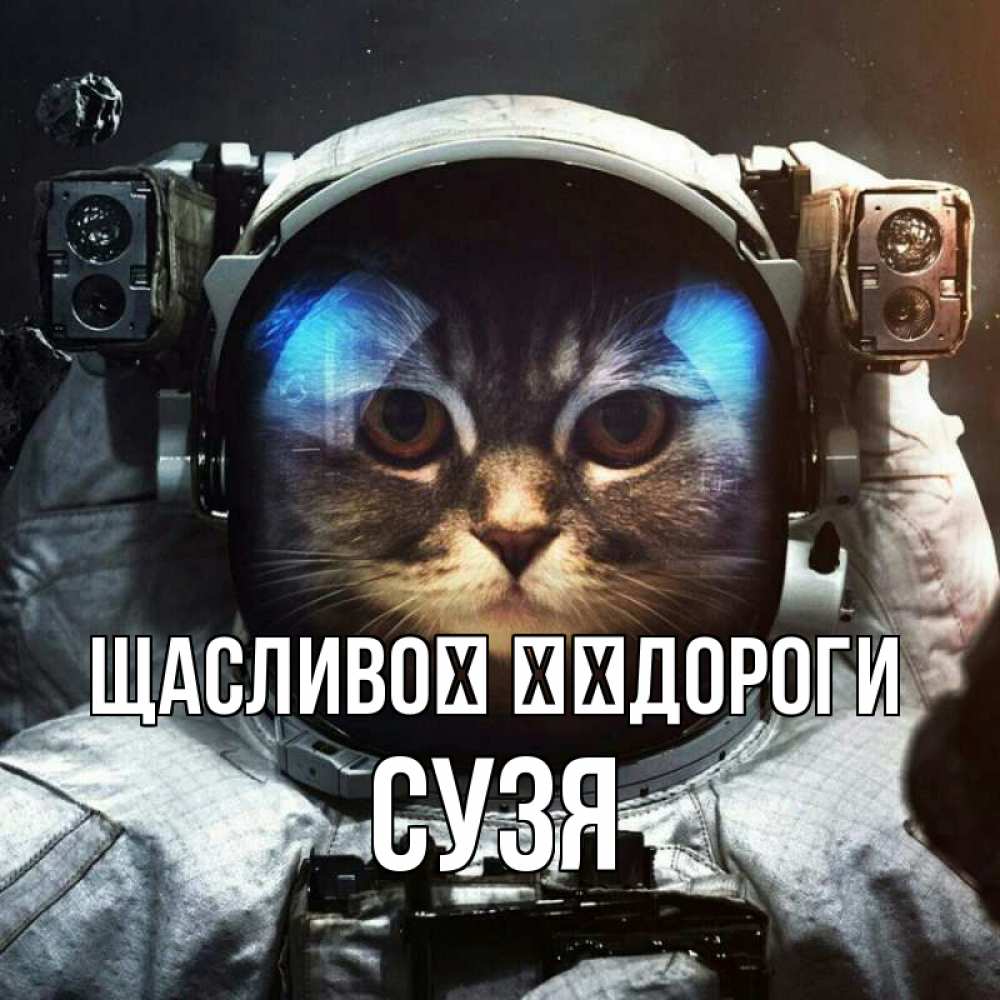 Открытка на каждый день з підписом, Сузя Щасливої ​​дороги желает удачно добраться Прикольна листівка з побажанням онлайн скачати безкоштовно 