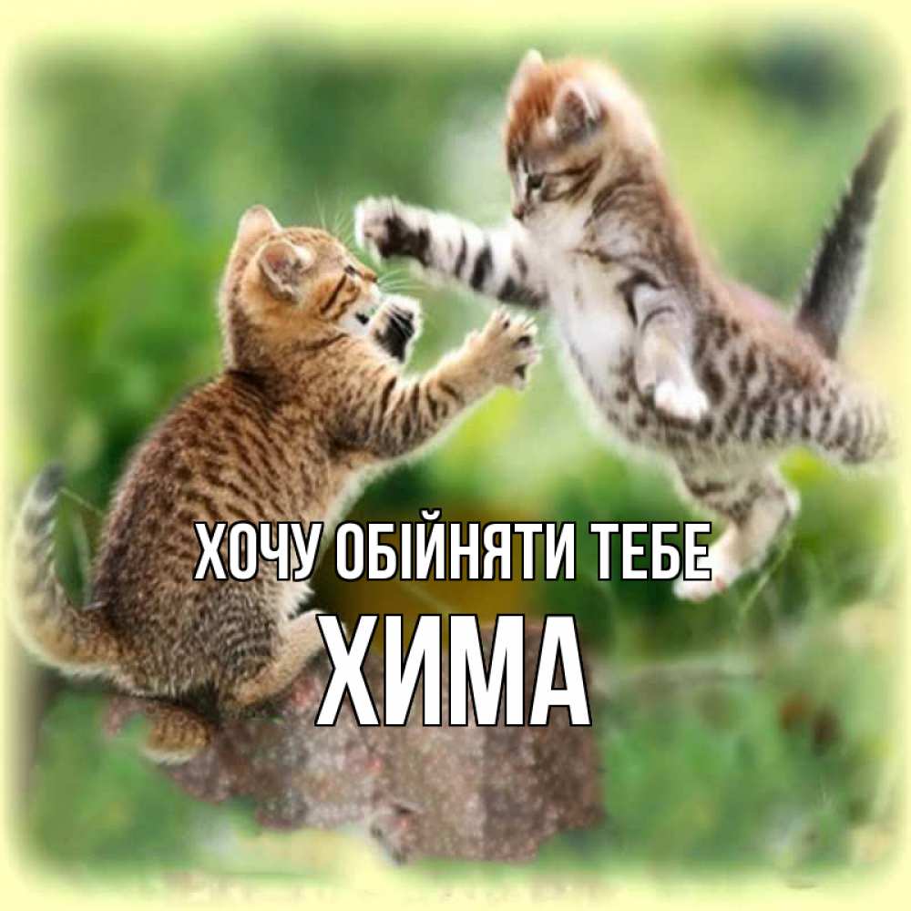 Открытка на каждый день з підписом, Хима Хочу обійняти тебе игры котят Прикольна листівка з побажанням онлайн скачати безкоштовно 