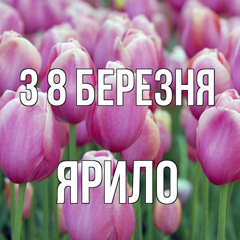 Открытка на каждый день з підписом, Ярило З 8 БЕРЕЗНЯ на международный женский день 3 Прикольна листівка з побажанням онлайн скачати безкоштовно 