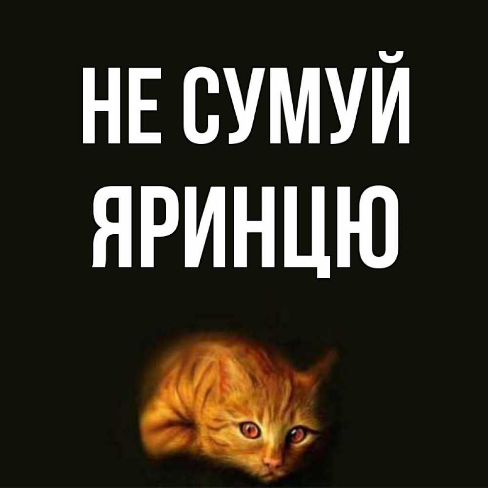 Открытка на каждый день з підписом, Яринцю Не сумуй лежащий кот в темноте Прикольна листівка з побажанням онлайн скачати безкоштовно 
