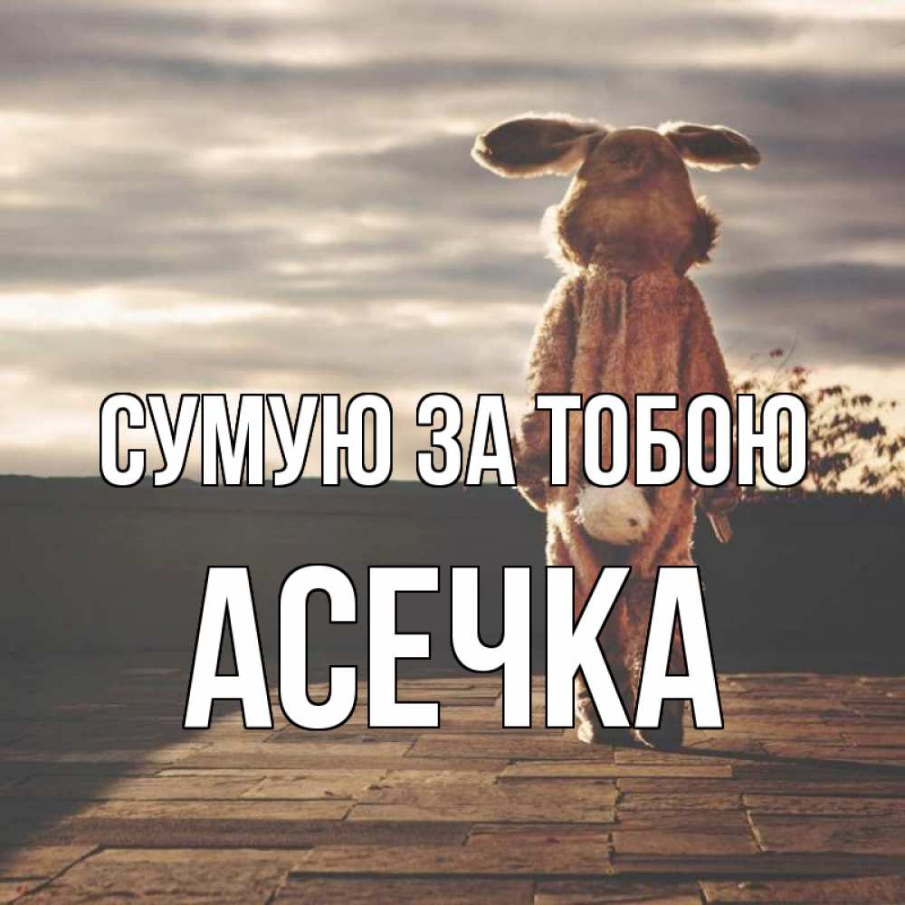 Открытка на каждый день з підписом, Асечка Сумую за тобою даже в костюме зайца Прикольна листівка з побажанням онлайн скачати безкоштовно 