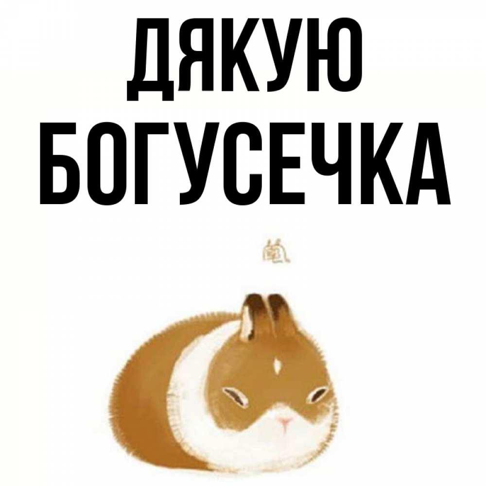 Открытка на каждый день з підписом, Богусечка Дякую коричнево белый домашний питомец Прикольна листівка з побажанням онлайн скачати безкоштовно 