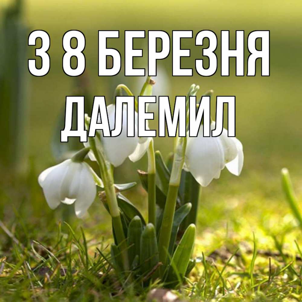 Открытка на каждый день з підписом, Далемил З 8 БЕРЕЗНЯ ранние цветы 2 Прикольна листівка з побажанням онлайн скачати безкоштовно 