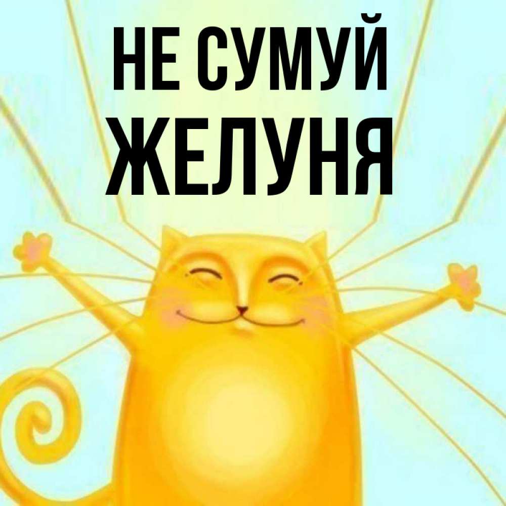 Открытка на каждый день з підписом, Желуня Не сумуй обнимашки усатые Прикольна листівка з побажанням онлайн скачати безкоштовно 