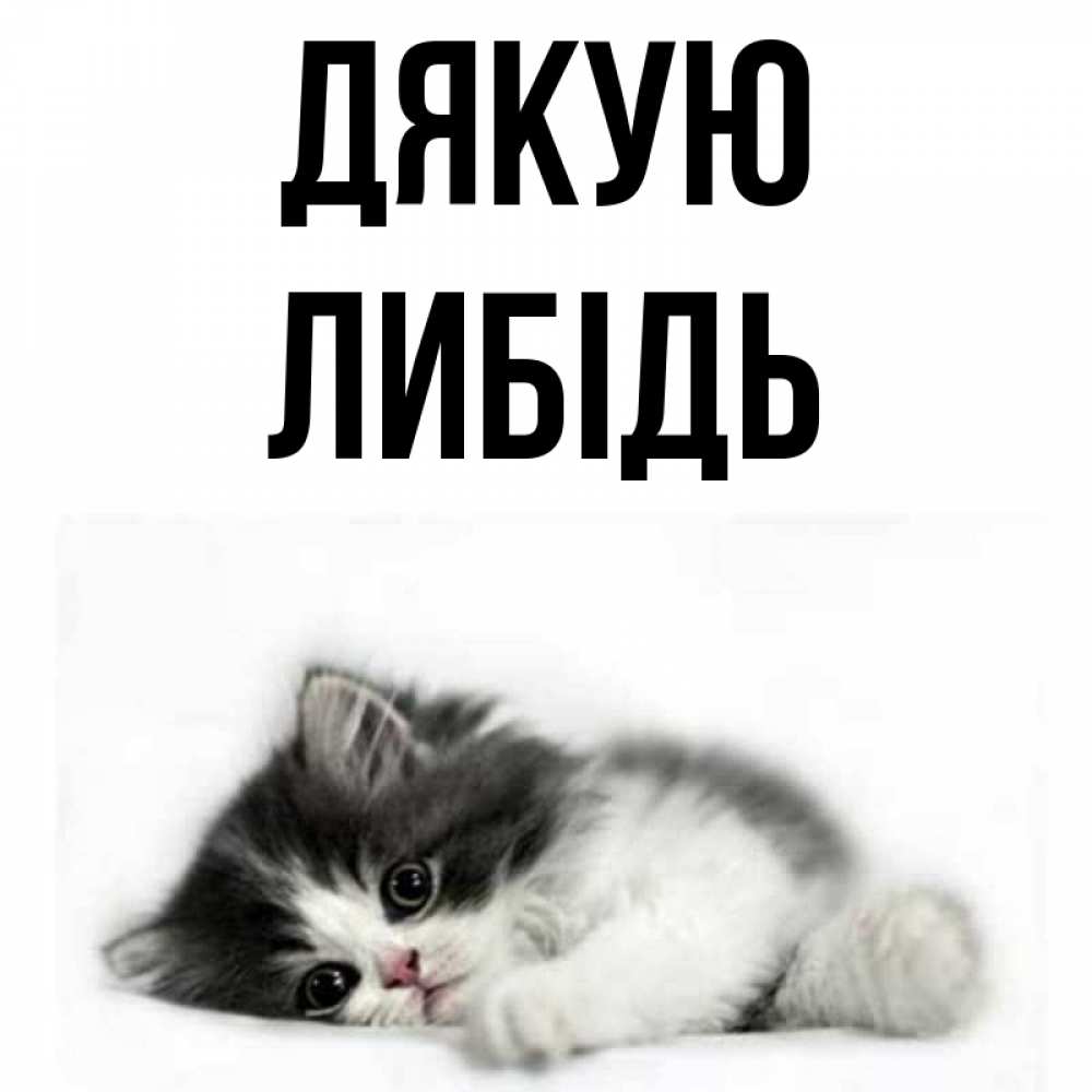 Открытка на каждый день з підписом, Либідь Дякую черный и белый кот Прикольна листівка з побажанням онлайн скачати безкоштовно 