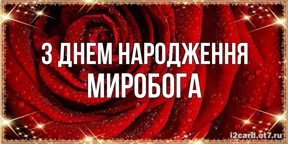 Открытка на каждый день з підписом, Миробога З Днем народження роса на розе блестящая в лучах солнца Прикольна листівка з побажанням онлайн скачати безкоштовно 