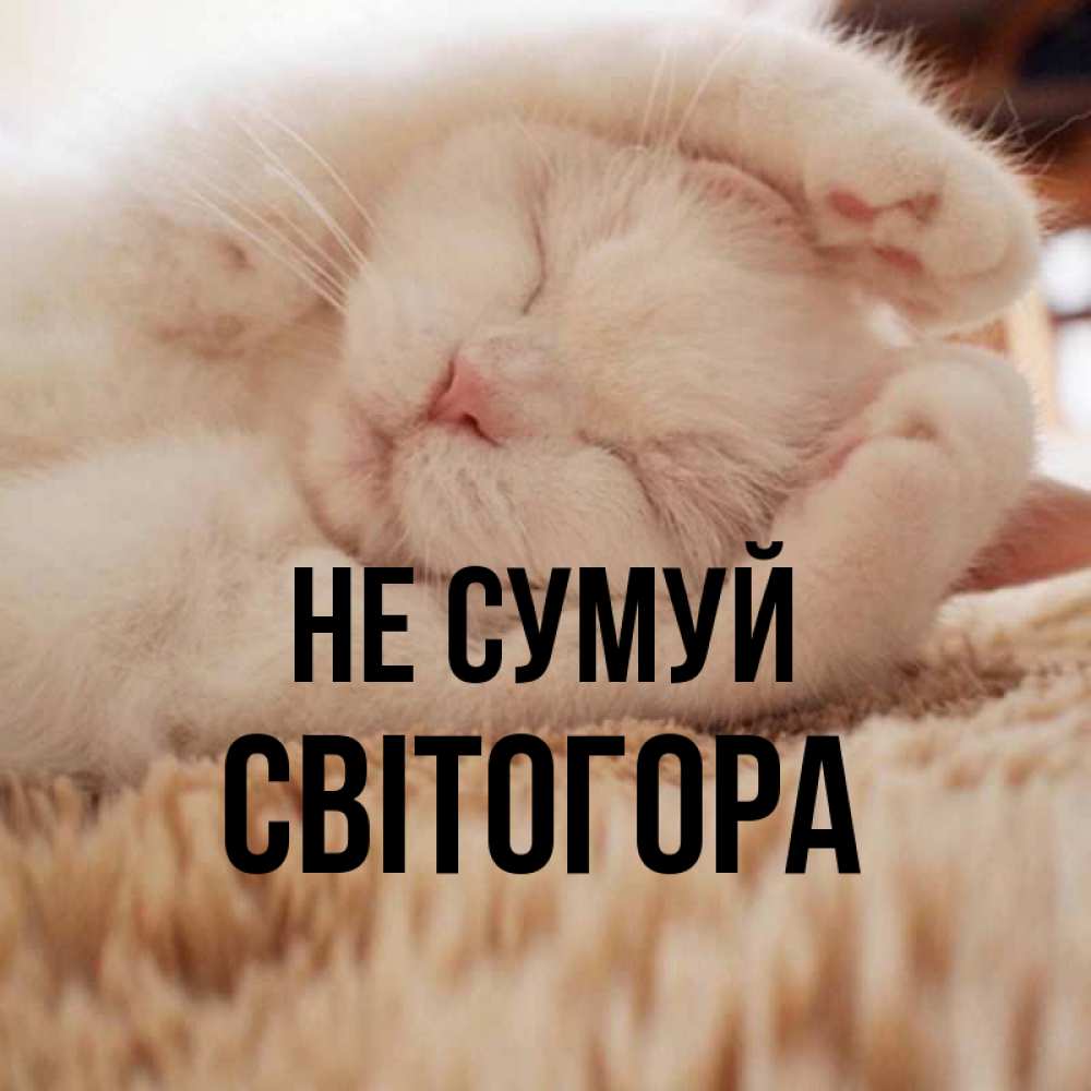 Открытка на каждый день з підписом, Світогора Не сумуй Котенок спит Прикольна листівка з побажанням онлайн скачати безкоштовно 