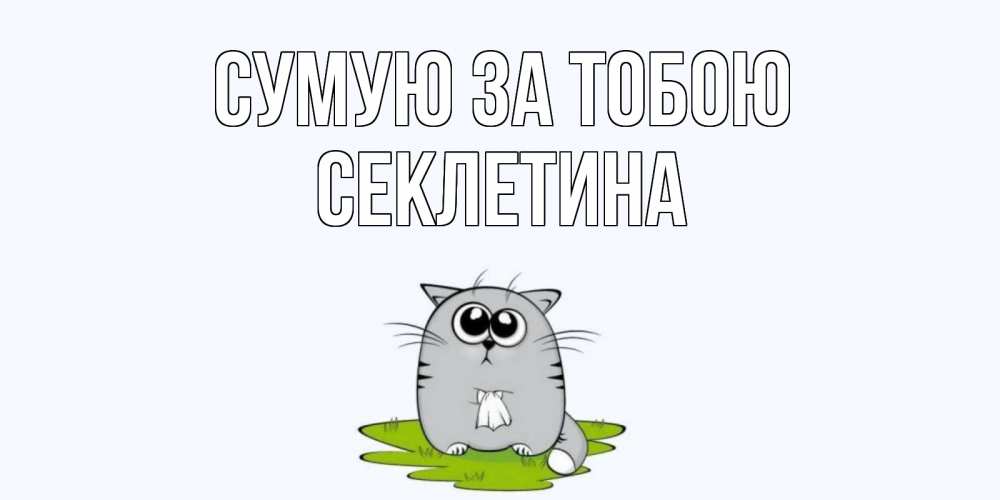 Открытка на каждый день з підписом, Секлетина Сумую за тобою открытки с котиками я по тебе скучаю с именем Прикольна листівка з побажанням онлайн скачати безкоштовно 