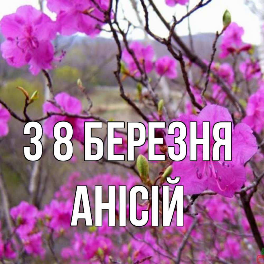 Открытка на каждый день з підписом, Анісій З 8 БЕРЕЗНЯ международный женский день Прикольна листівка з побажанням онлайн скачати безкоштовно 
