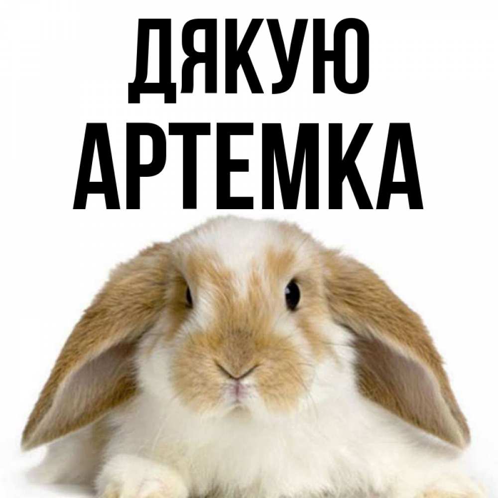 Открытка на каждый день з підписом, Артемка Дякую коричнево белый заяц Прикольна листівка з побажанням онлайн скачати безкоштовно 